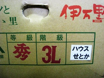 今度はハンサム
