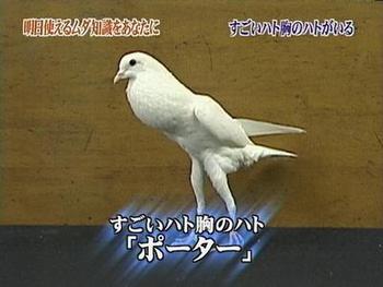 サラダみかんと謎の紙