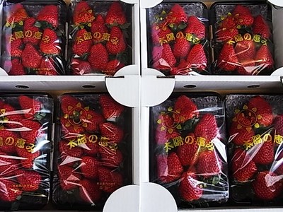 イチゴ・・・かなり安くなりました。