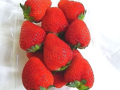 まだあるんですよ!