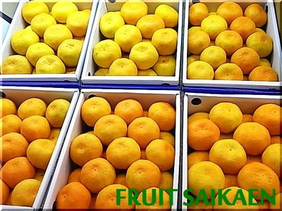お盆のおみやげ・おもてなし