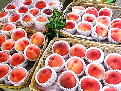 お盆のおみやげ・おもてなし