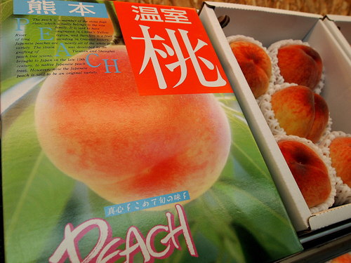 JA熊本うき「日川白鳳」