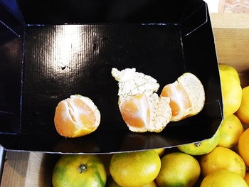 今日の目玉商品とかシナノスイート入荷とか