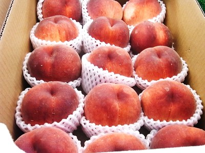 県外の果物が大量入荷