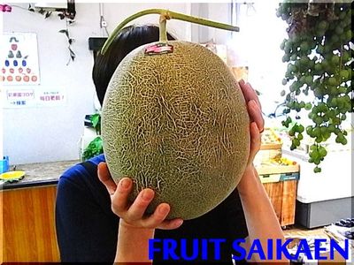 超超特大肥後グリーン