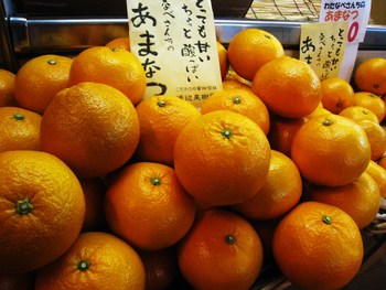 「なべさん家の甘夏」お待たせしました!