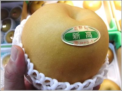 八代吉野の新高梨解禁です!
