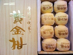 幻のみかん!黄金柑!