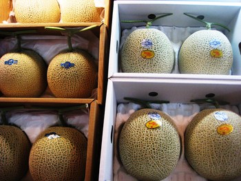 小山農園 匠アールス