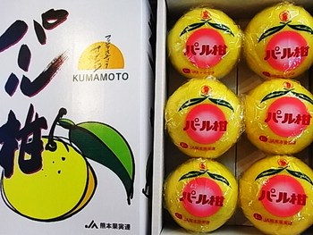 パール柑登場!