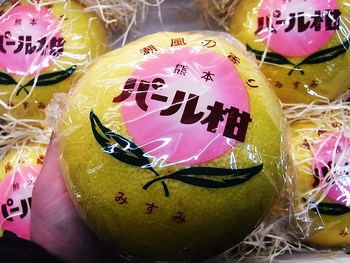 変な営業マンとの対決