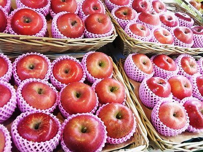 朝はインタビュー、昼はリンゴピラミッド