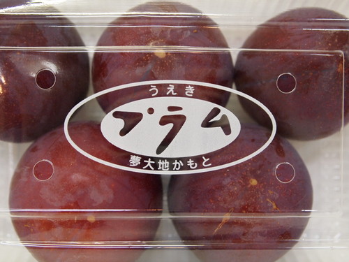 レッドビューーット