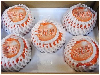 荒尾ジャンボ新高梨