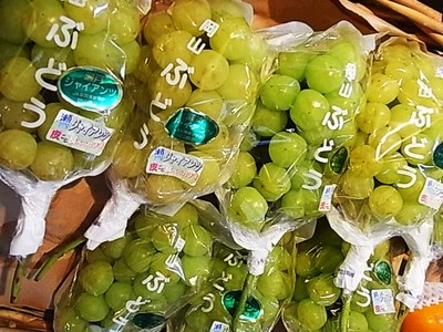 辛うじて入荷するブドウの種類とグロテスクあけび