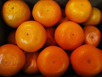 今度はハンサム