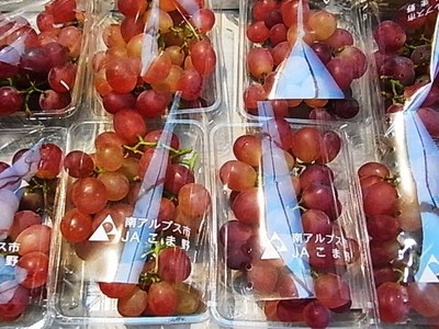 辛うじて入荷するブドウの種類とグロテスクあけび
