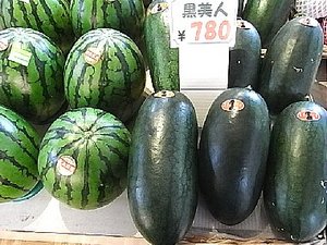 長～いスイカが・・・