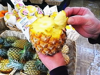 西表島からこんにちは。