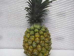 スナックパイン