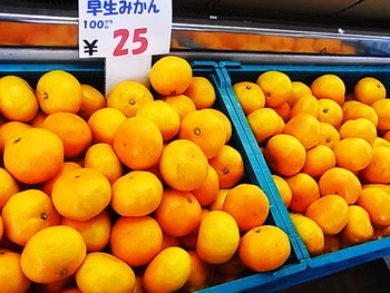 負けてられませんよ