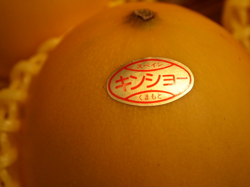 黄色のタマゴと白いタマゴ
