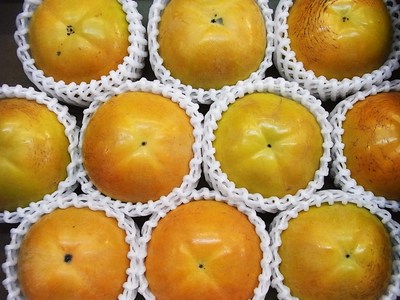 二代目おすすめ秋の味覚 柿とリンゴ