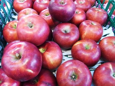 二代目おすすめ秋の味覚 柿とリンゴ