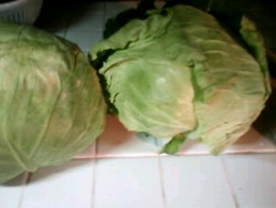 野菜づくし♪