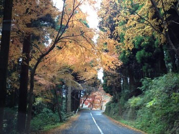 風景を楽しむ