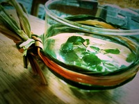 N.GREEN さん