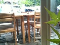大人な 「cafe nid」