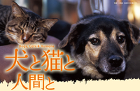 犬と猫と人間と