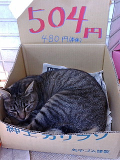 税込504円