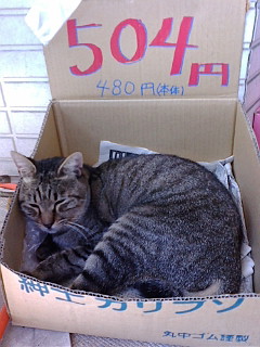 税込504円