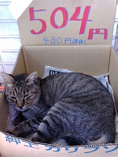 税込504円