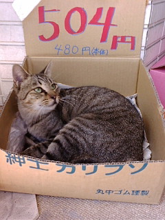 税込504円