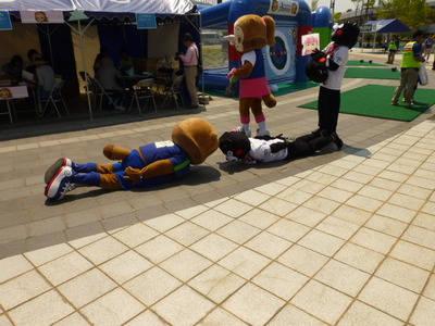 カオス徳島