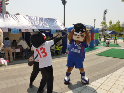 カオス徳島