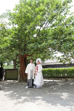 幸運をもたらす場所での婚礼ロケ!