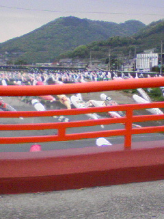 泳ぐ②???