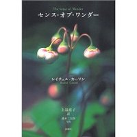 「センス・オブ・ワンダー」