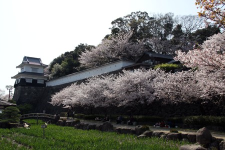 城郭と桜(大村公園・玖島城)