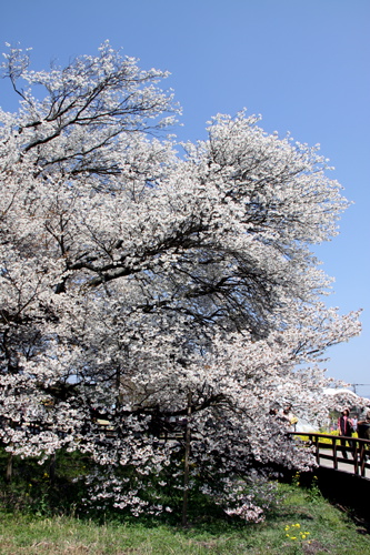 積年の思いでご対面