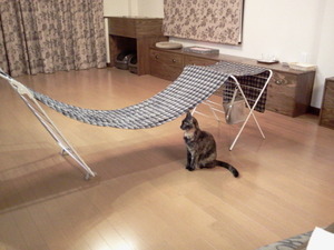 ワサビにはちゃんと分かっています(∩.∩)