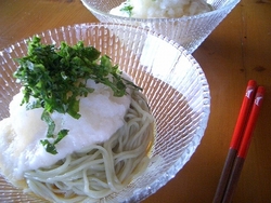 木の実さん三昧?