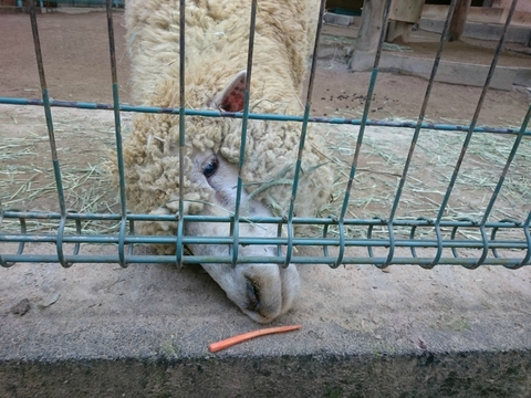 ふれあう動物園　大牟田市動物園