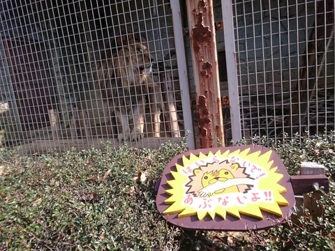 ふれあう動物園　大牟田市動物園