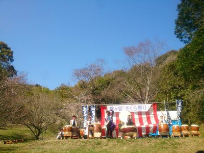 玉名 蛇ヶ谷公園「さくら祭り」にて演奏 玉名 蛇ヶ谷公園「さくら祭り」にて演奏